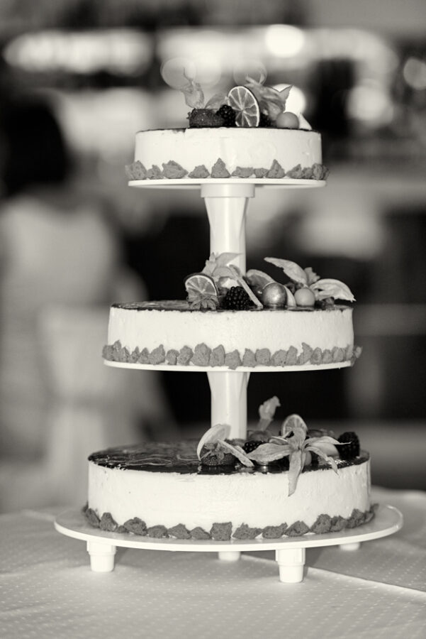 Svatba v černobílé fotografii na brněnské přehradě na Rakovci