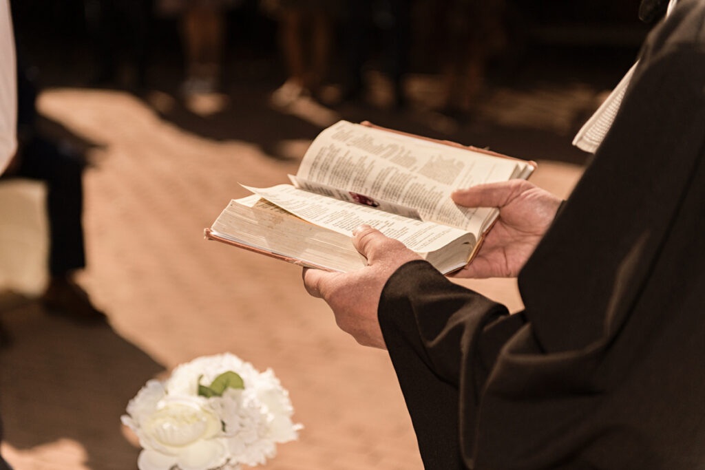 Svatební focení v Žebětínském dvoře